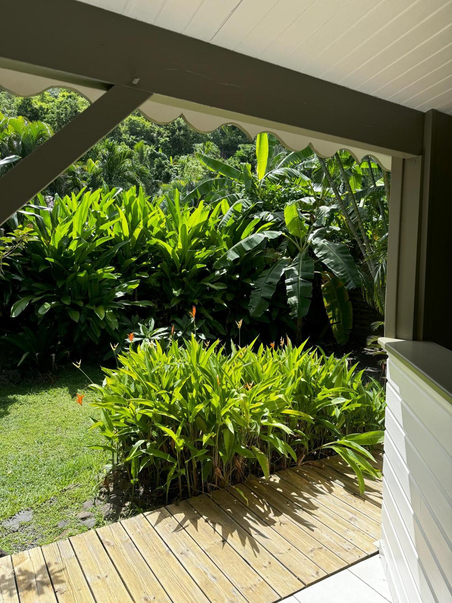 Baz Creole Villa Deshaies Exterior photo